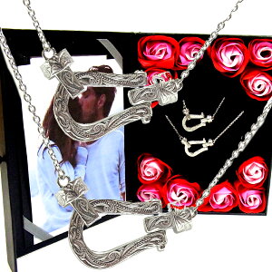 yAlbNX nCAWG[ n z[XV[ XN[ AM[Ή T[WJ XeX   ʐ^t[ t[