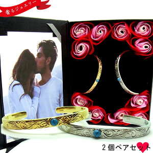 yAoO nCAWG[ 󖳗  CG[S[h Vo[ ^[RCY  LO a v[g Mtg   ʐ^t[ t[ T[WJXeX