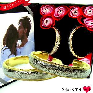 yAoO nCAWG[ 󖳗  CG[S[h X`[Vo[ sNS[h LO a v[g Mtg   ʐ^t[ t[ T[WJX