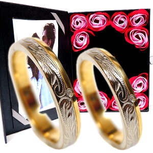 yAO nCAWG[ w 󖳗  XN[  L[rbNWRjA Jbv 2Zbg AM[t[ T[WJ XeX Zbg   ʐ^t[