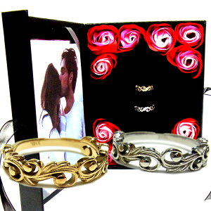 yAO nCAWG[ w  XN[ AM[Ή T[WJ XeX   ʐ^t[ t[