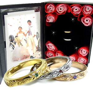 nCAWG[ O w   S[h vA XN[ zk LO a v[g Mtg@  ʐ^t[ Jbv t[ w T[WJXe