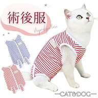 猫 術後服 マジックテープ ボーダー エリザベス カラー ウェア 避妊 メス 離乳 傷舐め防止 傷保護 小型犬…