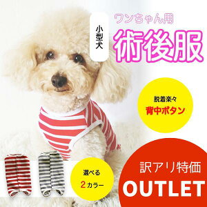 y󂠂iz   wJ p㕞 GUxXJ[ IX X ^ N H~