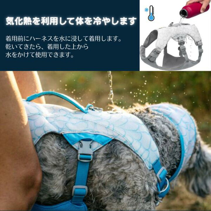 楽天市場】ラフウェア スワンプクーラーハーネス 犬 小型犬 中型犬 