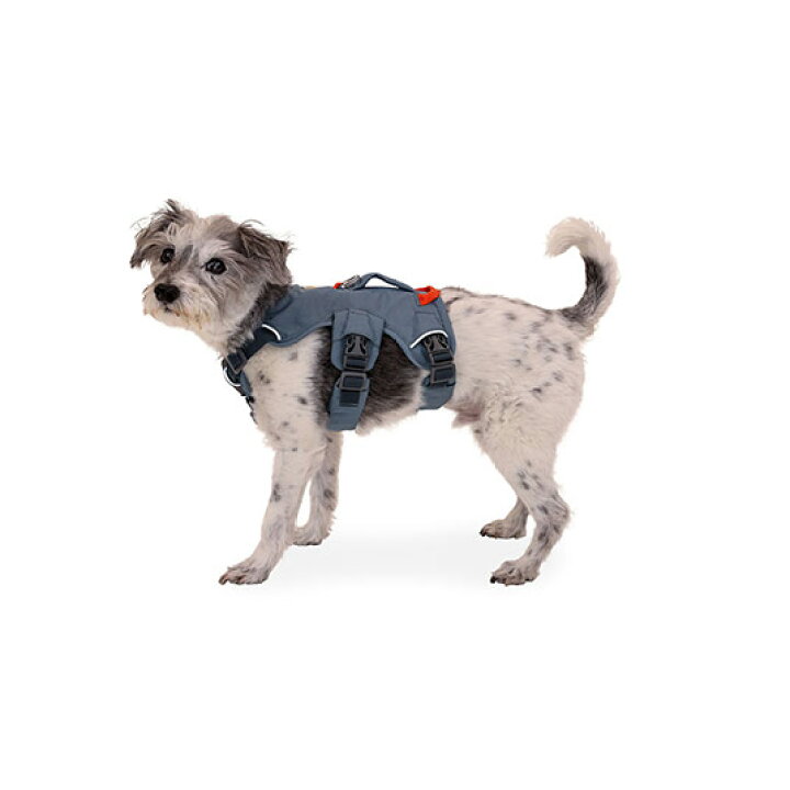 楽天市場】RUFFWEAR ラフウェア ハーネス XXS XS S M L / XL ウェブ 