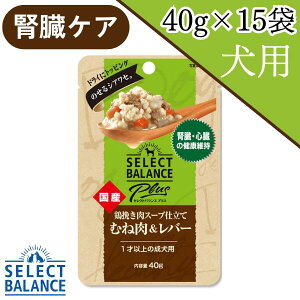 yő1000~ItN[|z ZNgoX vX tEŠNێ 1Έȏ̐p 40g×15 pE` ggt[h EFbgt[h hbOt[h ybgt[h  a ̃G