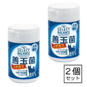 yPʋۂ̃`J p  45g × 2 z ZNgoX  _ۃS[h NgtF r[y e q  ps[  z Tv ^pN   Nێ Ɖu 