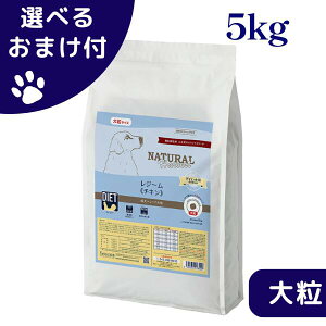 yő1000~ItN[|zi`n[xXg  W[ `L 5kg 嗱 hbOt[h `bNt _CGbgpHÖ@H  VjA