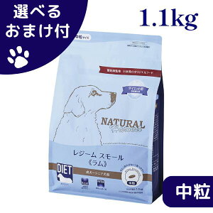 yő1000~ItN[|zi`n[xXg  W[X[  1.1kg  hbOt[h `bNt _CGbgpHÖ@H  VjA