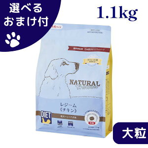 yő1000~ItN[|z i`n[xXg  VpbP[W W[ `L 1.1kg 嗱 hbOt[h `bNt _CGbgpHÖ@H  VjA