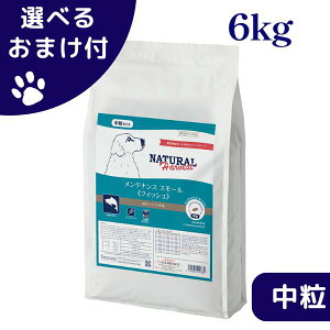 yő1000~ItN[|z i`n[xXg  VpbP[W eiXX[ tBbV 6kg  hbOt[h `bNt  VjA