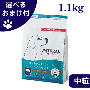 yő1000~ItN[|z i`n[xXg  VpbP[W eiXX[ tBbV 1.1kg  hbOt[h `bNt  VjA