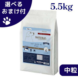 yő1000~ItN[|zi`n[xXg  W[X[  6kg  hbOt[h `bNt _CGbgpHÖ@H  VjA