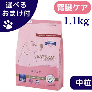 yő1000~ItN[|zi`n[xXg  LhjA 1.1kg  hbOt[h tPAp HÖ@H `bNt  VjA