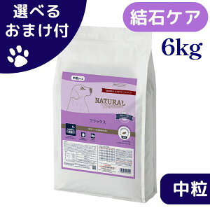 yő1000~ItN[|zi`n[xXg  tbNX 6kg  hbOt[h ΃PAp HÖ@H `bNt  VjA