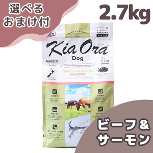 yő1000~ItN[|zLAI hbOt[h OXtFbh r[t & T[ 2.7kghbNt[h hbO t[h  JJ ̉a ̂ a  VjA V  q 