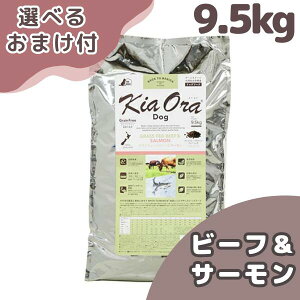 yő1000~ItN[|z LAI  hbOt[h OXtFbh r[t & T[ 9.5kg hbNt[h hbO t[h  JJ ̉a ̂ a  VjA V  q