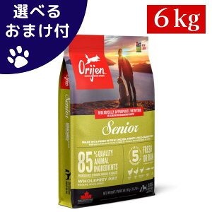 yő1000~ItN[|zKi Ji_Y IW VjA 6kg RH hbOt[h JJ  ̂ OCt[ ̉a a VjA ^pN S ʒ sgp