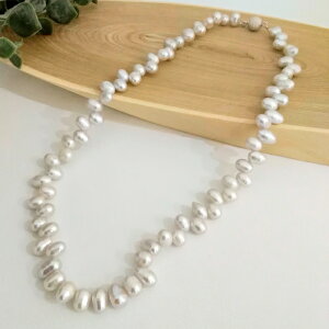 O[W^ lbNX }Olbg ȒP lC̃obN Ǝ  Zj[ p[eB[JWA I ؂₩ i` i ig 6 a v[g Mtg L