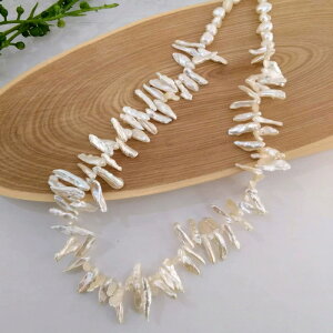 W^ lbNX obN XeBbN ^ Ǝ  Zj[ p[eB[ Vo[ bL tFU[ I i` ؂₩ lC ig 6 a a v[g M