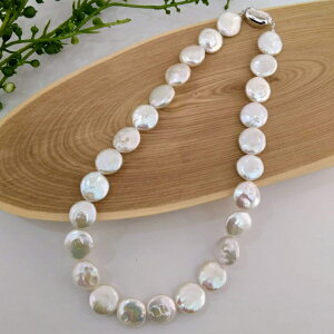 {^ W^ lbNX e̗ǂ obN Ǝ  Zj[ p[eB[ Vo[ WEbL I ؂₩ U  lC i ig 6 a v[g M