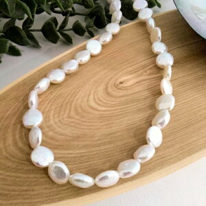 {^ W^ lbNX obN zCgn Ǝ  Zj[ p[eB Vo[ WEbL I ؂₩   lC i 6 a v[g Mtg a