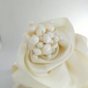 obN W^ IWi su[` LƂ zCg lC l IV JWAp[ nhCh w Ǝ Zj[ LO a Mtg v[g 