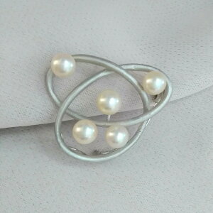 ` Vo[  u[` ^ p[ Vv C  ϐFh~ |Cg fG Ǝ  p[eB[ 6 a 蕨 AEj ސEj v[g LOi M