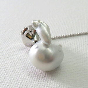 Vo[ m obN ^ ^Cs p[ I j[N l̗VѐS ꗱ   Zj[ p[eB[ ؂₩ Y 6 a X[c Vv j a Љl 