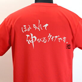 【ラグビーTシャツ】 ほめられて伸びるポリTシャツ 練習着 ラグビー トレーニング 吸水速乾 【ほめられて伸びるタイプです。】