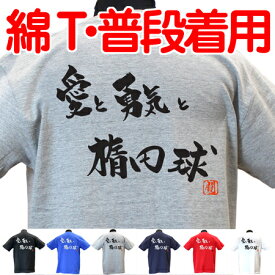 ラグビー Tシャツ 愛と勇気と楕円球 綿Tシャツ 【普段着用】