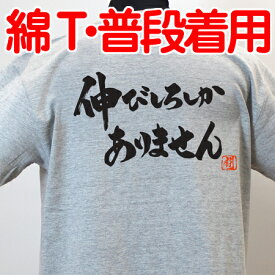 【ラグビーTシャツ】伸びしろしか綿Tシャツ 【伸びしろしかありません】 【普段着用】