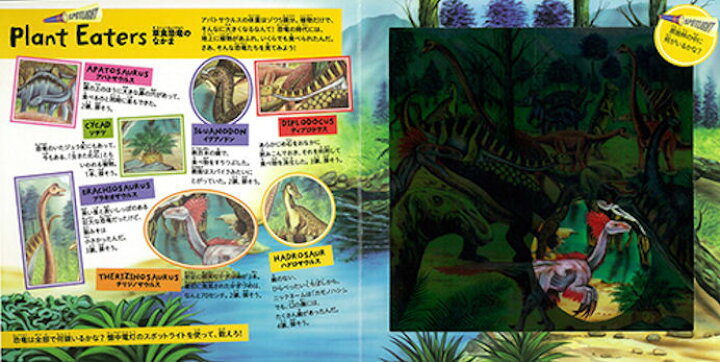 楽天市場 Dinosaur Hunt 恐竜を探せ オーストラリアの絵本 しかけ絵本 5歳向け絵本 恐竜 絵本 おすすめ 人気 探検 冒険 わくわくする かっこいい 男の子 誕生日 プレゼントに最適 幼児 子供 孫に贈り物楽しく 知育 学習 ギフト バレンタイン Lifestylegoods