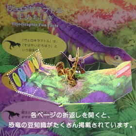楽天市場 とびだすえほんdx 恐竜 オーストラリアの絵本 しかけ絵本 5歳向け絵本 おすすめ 人気 読み聞かせ おしゃれ かわいい 出産祝い 誕生日 プレゼントに最適 幼児 赤ちゃん 子供 孫に贈り物楽しく 知育 学習 おうち時間 ギフト Lifestylegoodsラギッドマーケット