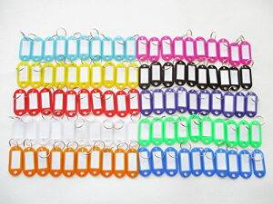 Freestyle ^O L[z_[ D 100Zbg  Ɩp