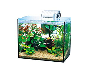 eg (Tetra) KX  I[OXANAE GA-300F  ANAE Mы _J 
