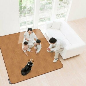 aOrA zbgJ[ybgJo[ƂĂg!!h~J[ybg BR(ؖ) AHW-1003 HH 200cm×250cm 3p