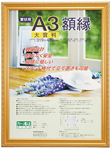 iJoV ܏z PV() ܏ܔ t-KWP-41 N