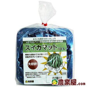 ʎ̃NbV! XCJ}bg SLu[ 10