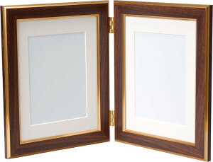 VANJOH �t�H�g�t���[�� Double Frame Basic 2L �c �u���E�� DF-B5BR