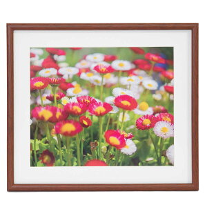 FUJICOLOR ؐz M21 4 uE 407895