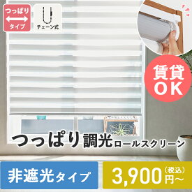 【つっぱり式】非遮光 調光 ロールスクリーン 突っ張り式 採光 オーダー 賃貸 ロールカーテン カーテン ブラインド 調光ブラインド 賃貸OK ネジ不要 つっぱり式ロールカーテン 目隠し 押し入れ ＜調光ロールスクリーン / 非遮光 つっぱりタイプ ＞