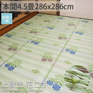 畳 上敷きの人気商品 通販 価格比較 価格 Com 畳 上敷きの人気商品 通販 価格比較 価格 Com