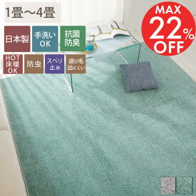 【10％~OFFセール】ラグ ラグマット カーペット 夏 接触冷感 絨毯 じゅうたん 抗菌 防臭 ラグ 正方形 長方形 国産 防虫 防ダニ 北欧 柄 おしゃれ 可愛い 洗える シャギーラグ オールシーズン ＜オアシス /約 1畳 2畳 3畳 ＞