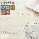 【最大25％OFF★スーパーセール限定】ラグ ラグマット カーペット 洗える ソフトタッチ 抗菌 防虫 シャギーラグ シャギー 防臭 防ダニ 1.5畳 オールシーズン リビング ふわふわ マイクロファイバー オールシーズン ＜ソフトタッチラグ / 約1畳 2畳 3畳 ＞