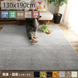 防ダニ 洗える カーペット ラグ マット 絨毯 通販 価格比較