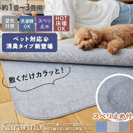 【全品P4倍★5と0のつく日】【10％OFFセール★カラー限定】除湿シート 除湿マット 湿気取り 除湿ラグ す…