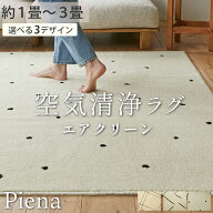 【最大ポイント4倍★15日限定】 【 消臭ラグ ピエナ 】ラグ ラグマット カーペット 防ダニ 洗える 北欧 …