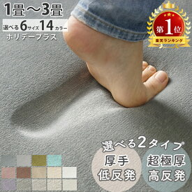 【楽天1位★20％OFFカラー限定】ラグ ラグマット はっ水 ラグ 洗える カーペット 低反発 高反発 厚手 極厚 オールシーズン ラグカーペット 絨毯 子供部屋 ペット 小さめ 大きめ 北欧 オシャレ ふわふわ 床暖房対応 ＜ホリデープラス 20mm 70mm / 1畳 2畳 3畳＞